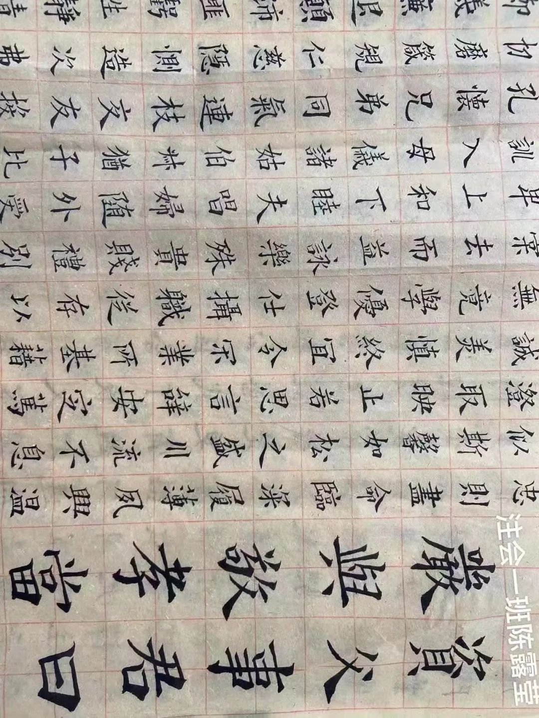 1658134517818075378.jpg